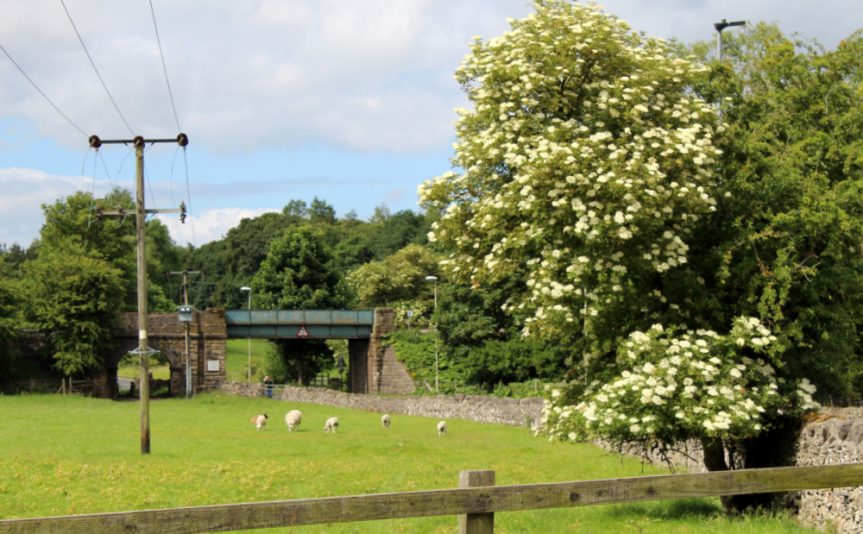 Embsay, Grassington branch, bridge, June 2022, 8″x 6″ glossy photo (Copy)