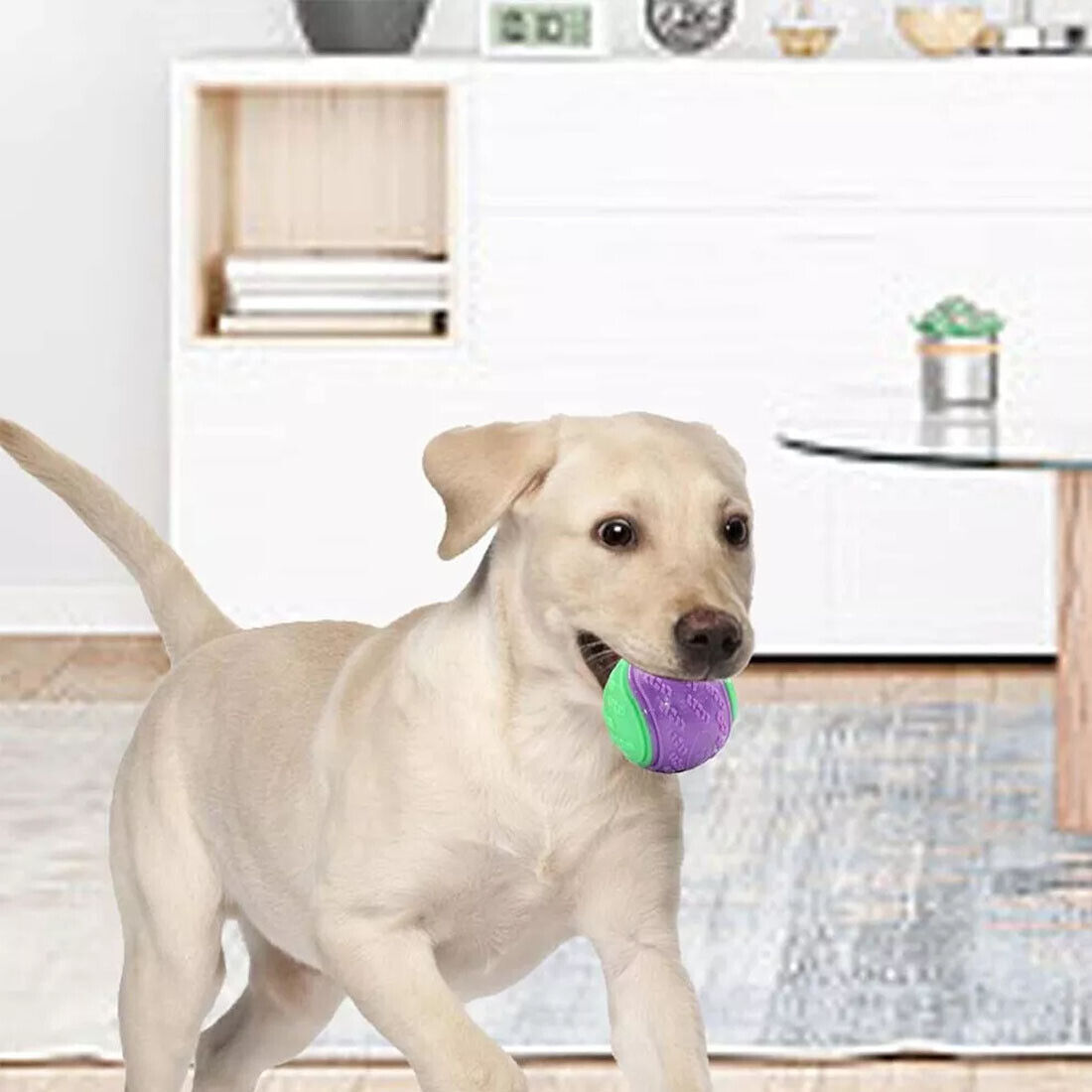 Scooby-Doo Durable Squeaky Set Of 8 Dog Balls For Teeth Cleaning Interactive UK - Image 7